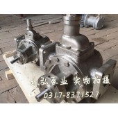 YPB不锈钢滑片泵,316不锈钢滑片泵