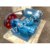 NYP转子泵,不锈钢高粘度泵,内环式高粘度泵