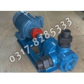 NYP高粘度保温泵,NYP转子泵,NYP内啮合齿轮泵