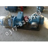 高粘度罗茨泵,LC罗茨油泵,罗茨油泵,罗茨泵