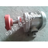 2CY不锈钢泵,2CY不锈钢齿轮泵,2CY齿轮泵