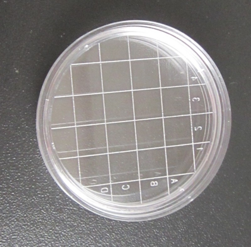 QQ图片20190322091959