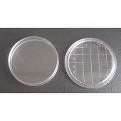 漯河金田55mm接触碟接触皿 表面皿 接触性平皿 表面培养皿 可重复使用接触碟培养皿