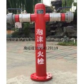 PS100-65X2泡沫消火栓