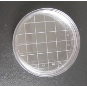 55mm培养皿表面微生物接触碟 表面皿 接触皿