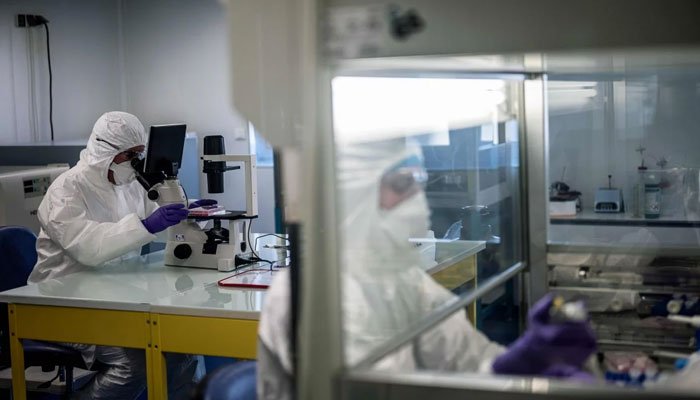 美国科学 创建了 个 状病毒3D原子比例图