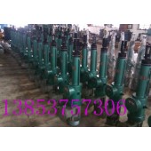 DYT(B)防爆型电液推杆  防爆电动液压推杆厂家直销