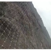 河北衡水主动防护网