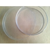 做抗生素效价测定用培养皿 效价碟子