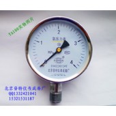 YA100氨气压力表