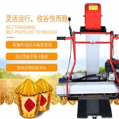 山东工厂直销粮食装袋机